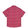 BLV’s Pink Paisley