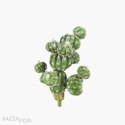 Cactus (10838)