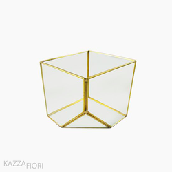 Terrário Cubo M - Transparente (10905)