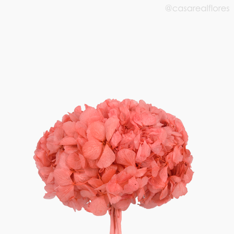 Imagem 3 do produto Flor de Hortência Seca Cores Sortidas - Rosa Claro (120158)