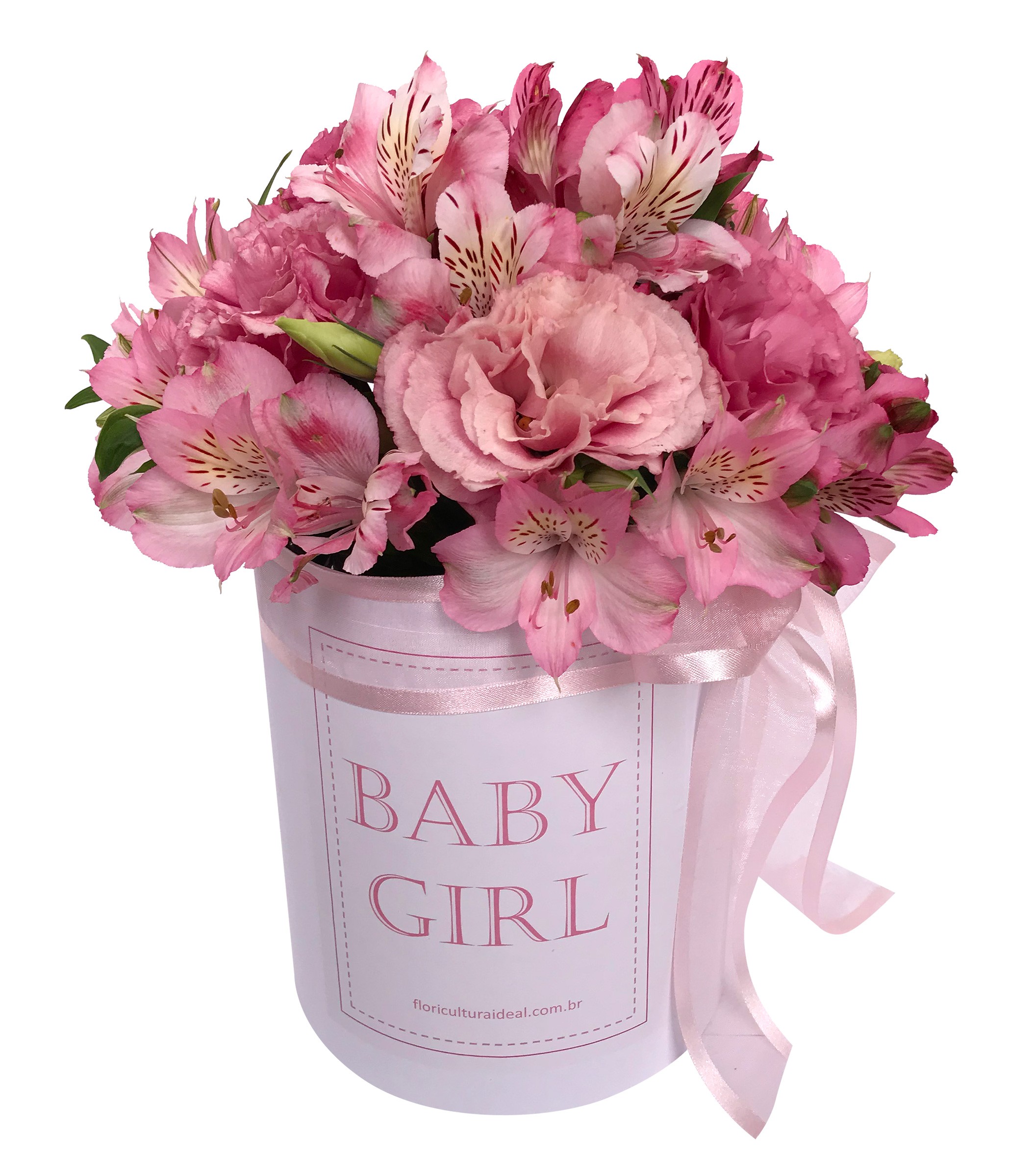 Foto do produto Box Baby Girl