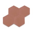Ladrilho Hidráulico Ladrilar Hexagonal Rosa Queimado 20x23